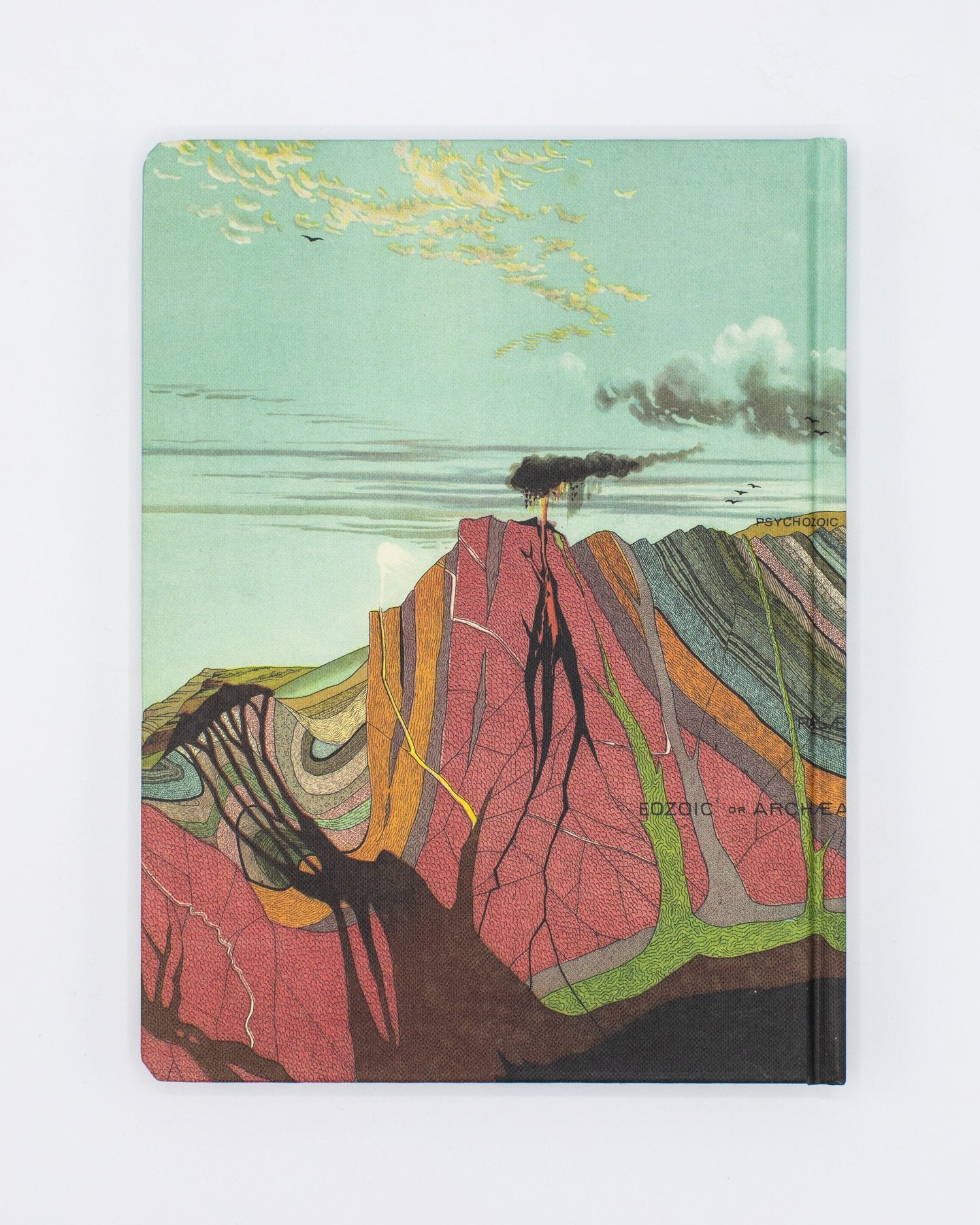 Earth's Geology Hardcover Notebook - Lined/Grid