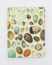 Eggs Hardcover Notebook - Dot Grid