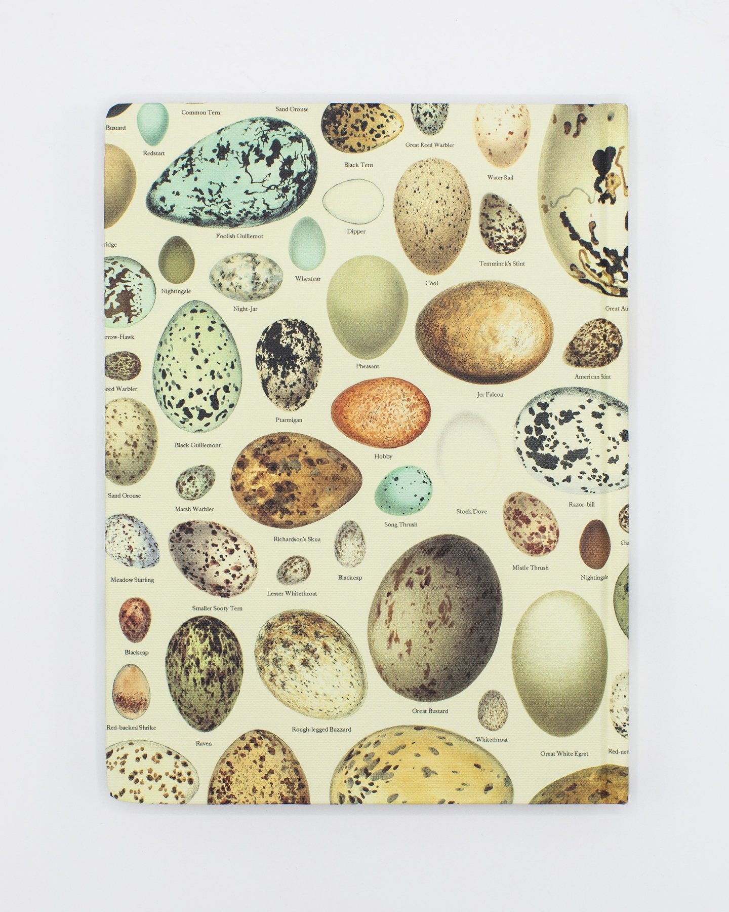 Eggs Hardcover Notebook - Dot Grid