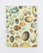 Eggs Hardcover Notebook - Dot Grid
