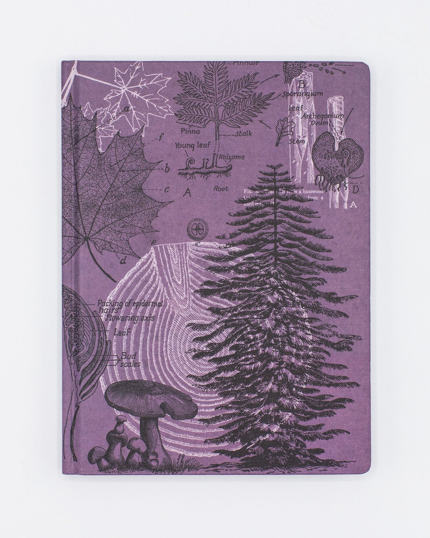 Forest at Dusk Hardcover Notebook - Dot Grid