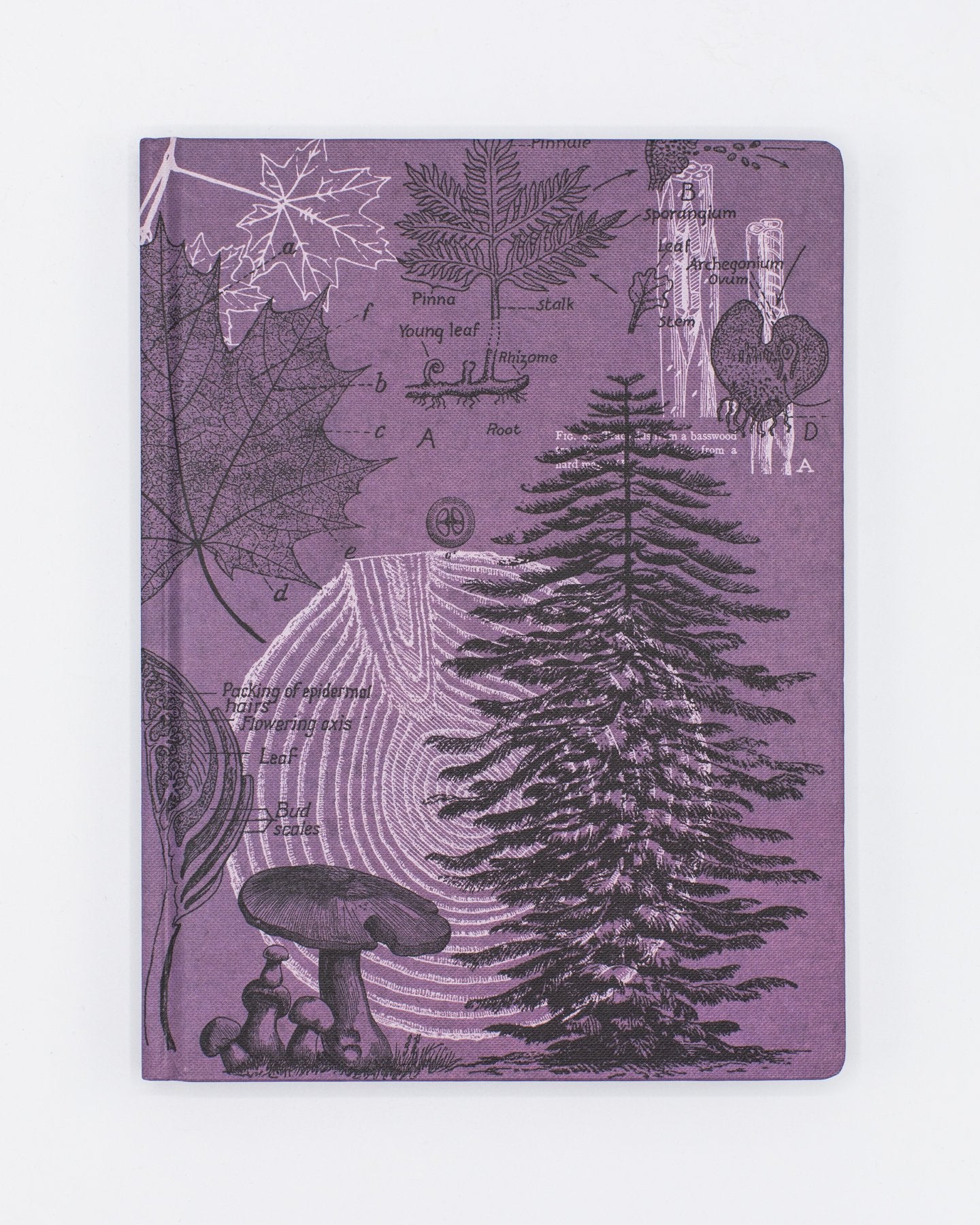 Forest at Dusk Hardcover - Gefüttert/Gitter