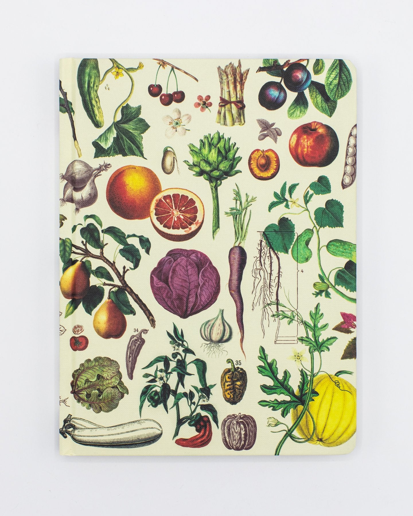 Fruits & Vegetables Hardcover Notebook - Lined/Grid