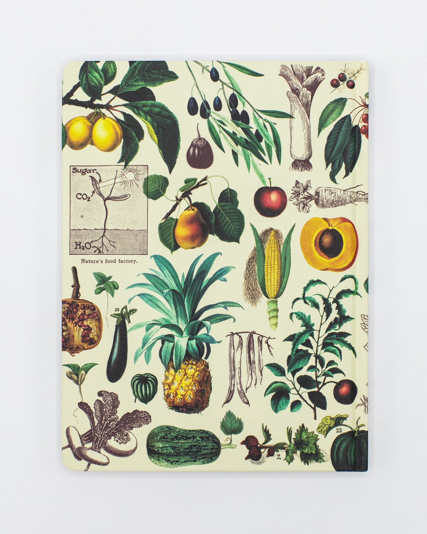 Fruits & Vegetables Hardcover Notebook - Lined/Grid