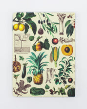 Fruits & Vegetables Hardcover Notebook - Lined/Grid