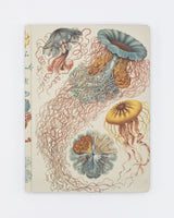 Haeckel Jellyfish Relié - Ligné/Grille
