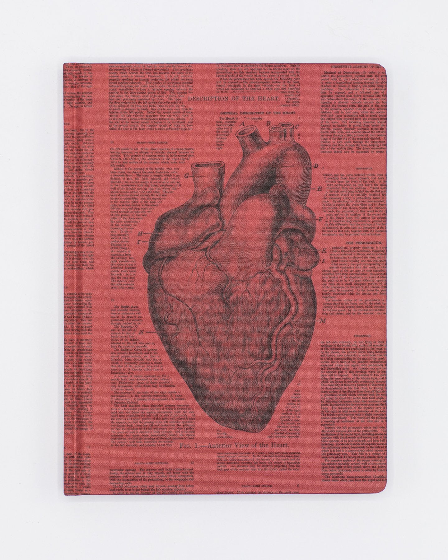 Anatomical Heart Hardcover Notebook - Lined/Grid