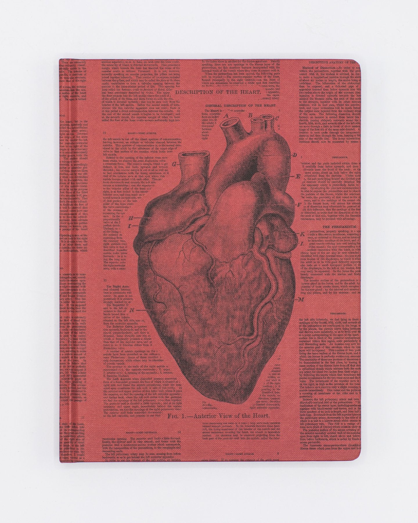 Anatomical Heart Hardcover - Gefüttert/Gitter