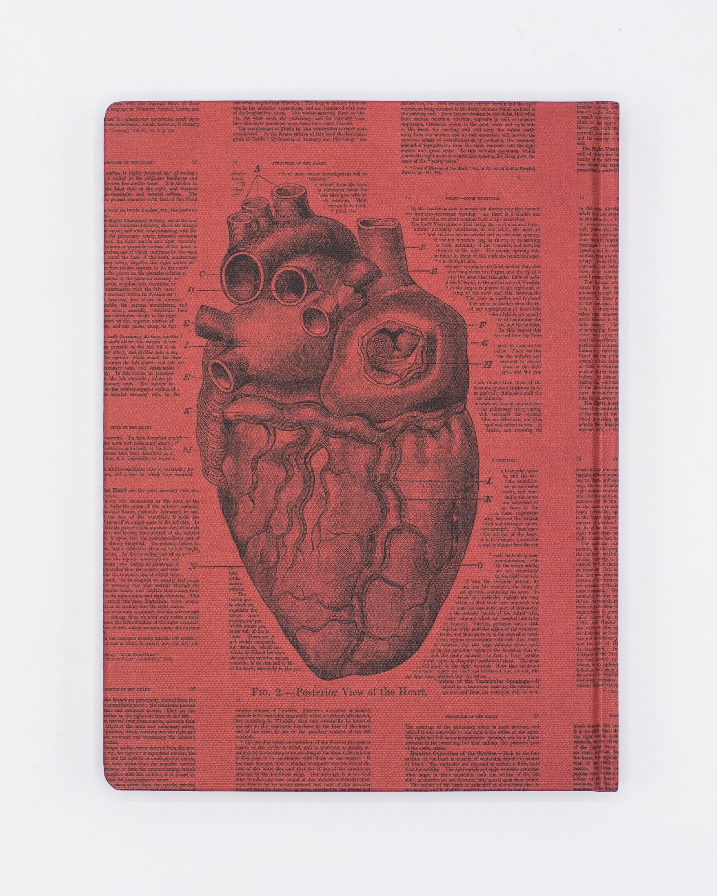 Anatomical Heart Hardcover Notebook - Lined/Grid