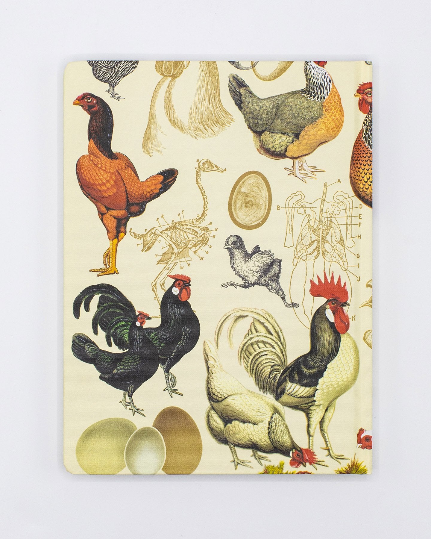 Chicken Hardcover Notebook - Dot Grid