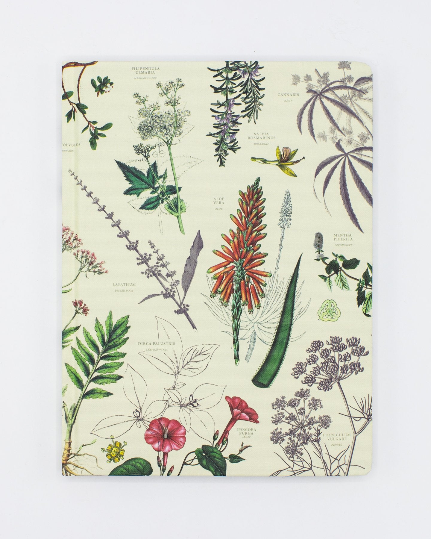 Medicinal Botany Hardcover Notebook - Lined/Grid