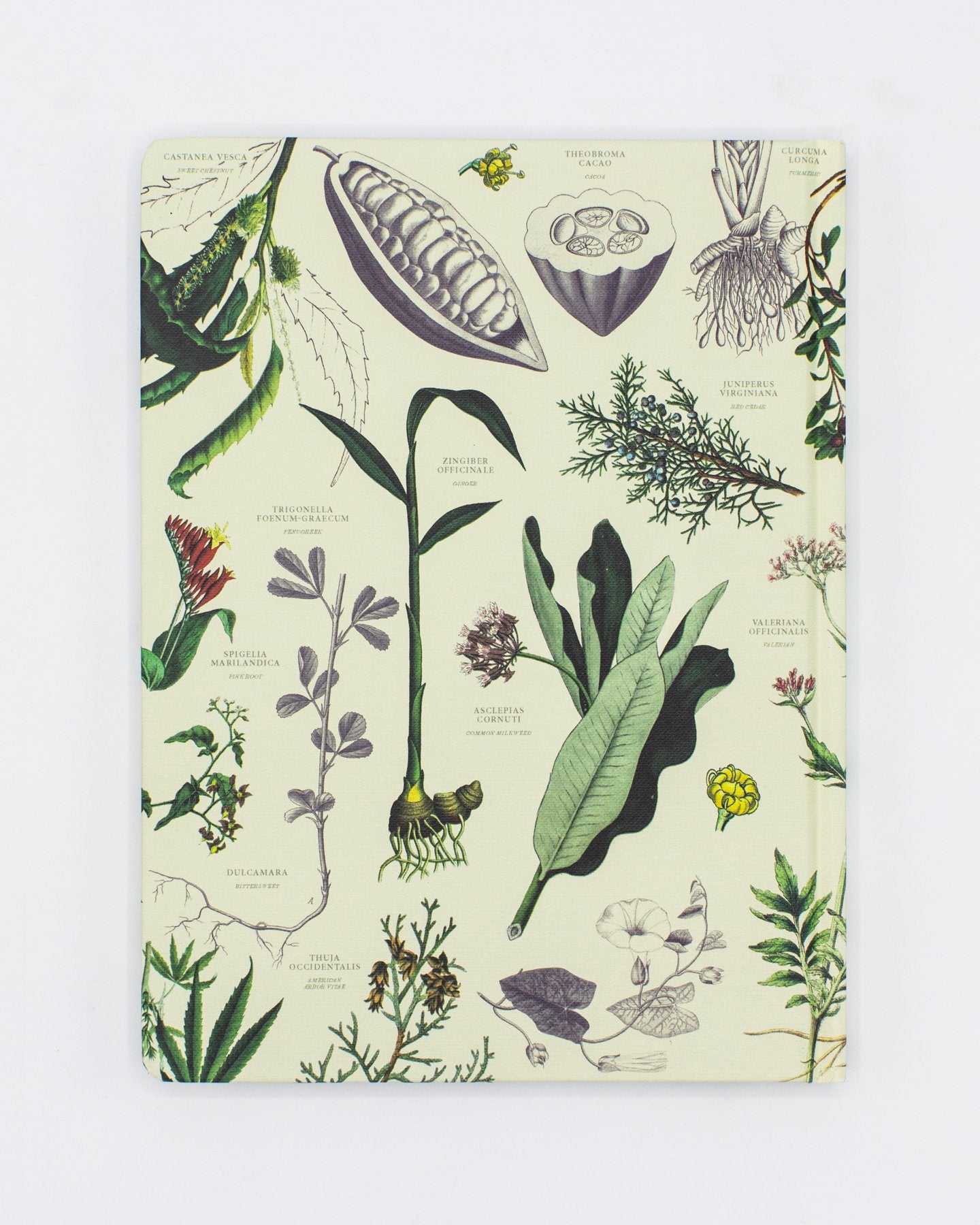 Medicinal Botany Hardcover Notebook - Lined/Grid