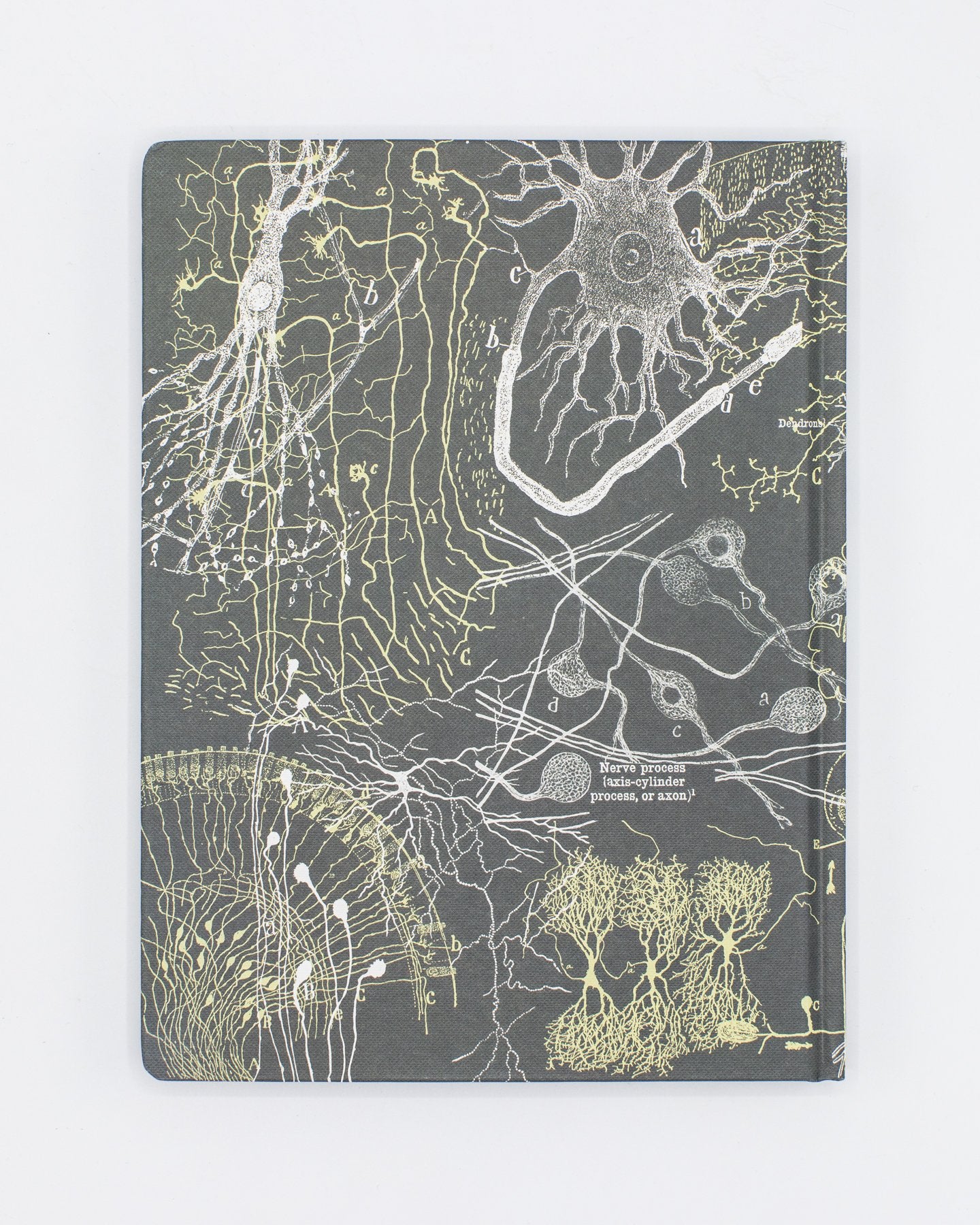 Neurons Hardcover Notebook - Lined/Grid