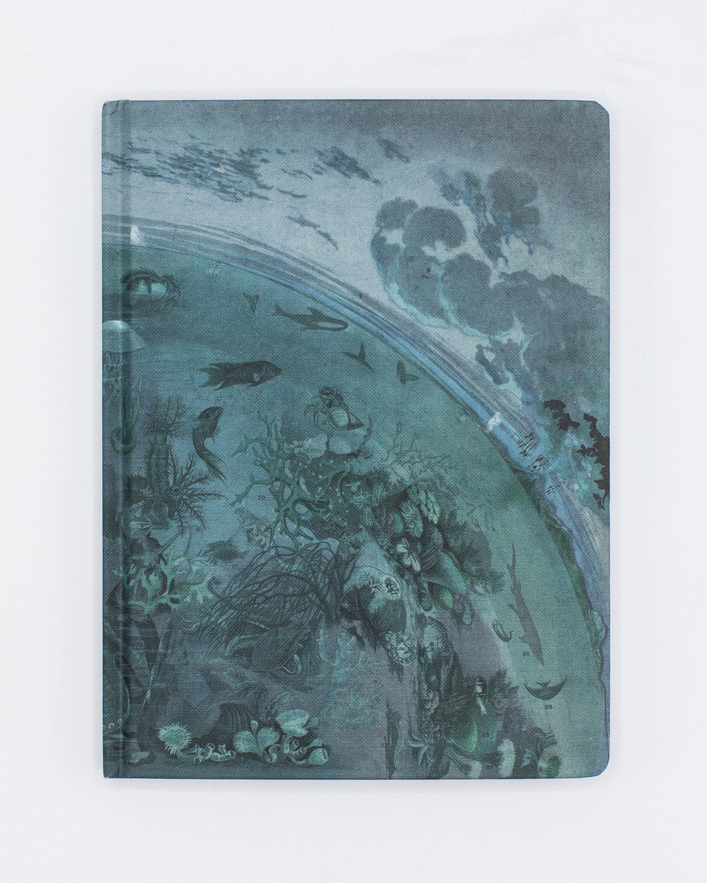 Marine Biology Ocean Print Notebook | Dot Grid Journal – Cognitive ...