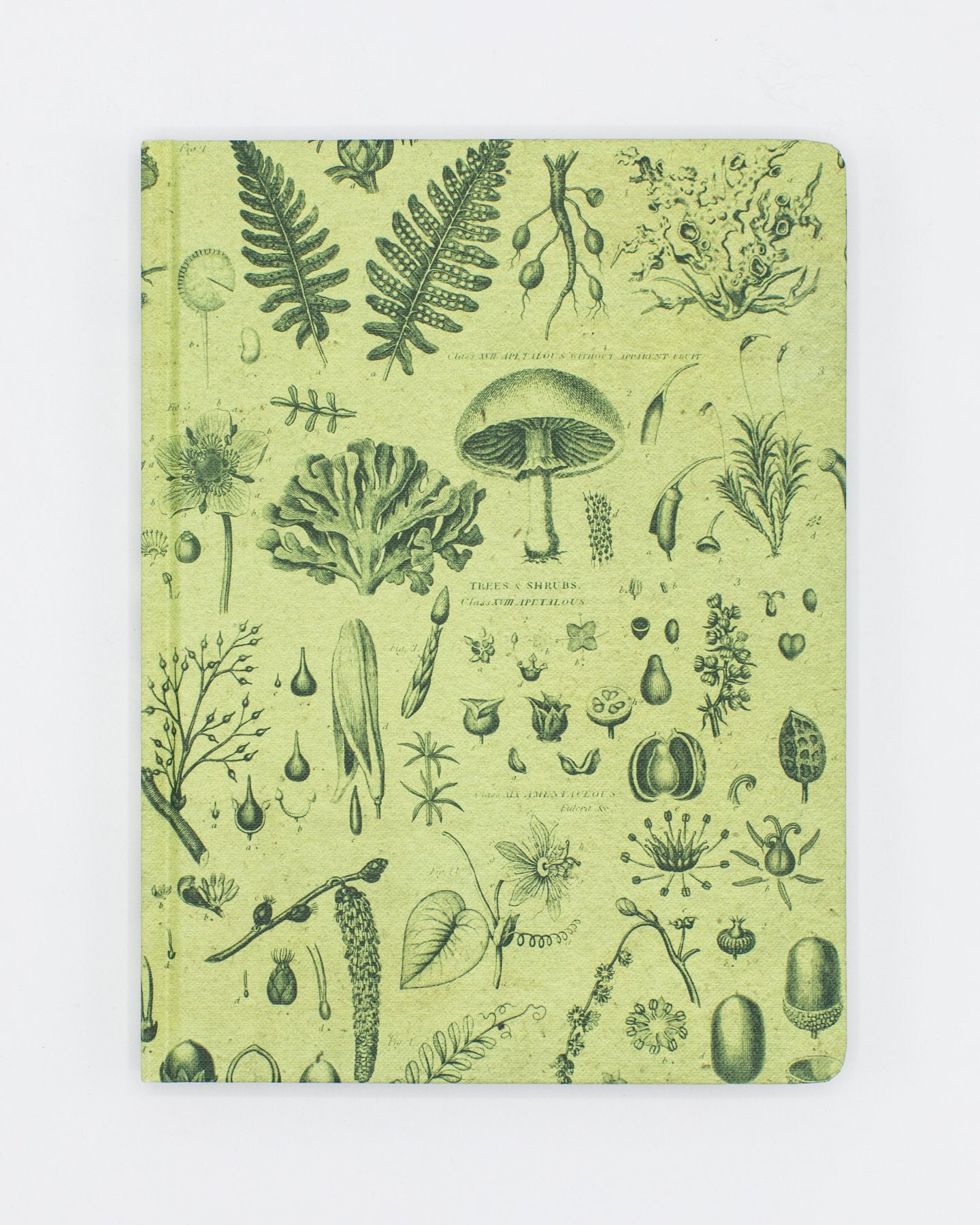 Plants & Fungi Hardcover Notebook - Lined/Grid