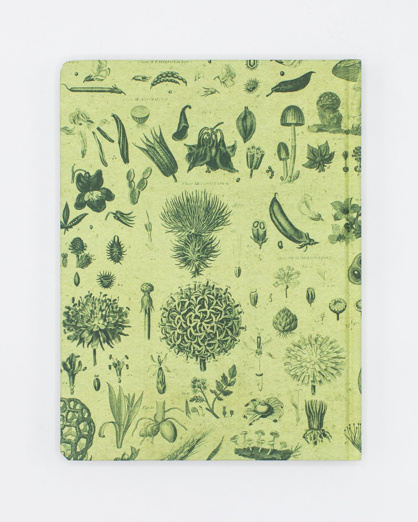 Plants & Fungi Hardcover Notebook - Lined/Grid