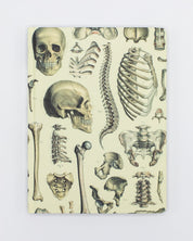 Skeleton Pl 2 Hardcover Notebook - Dot Grid