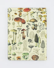 Mushrooms Pl 2 Hardcover Notebook - Lined/Grid