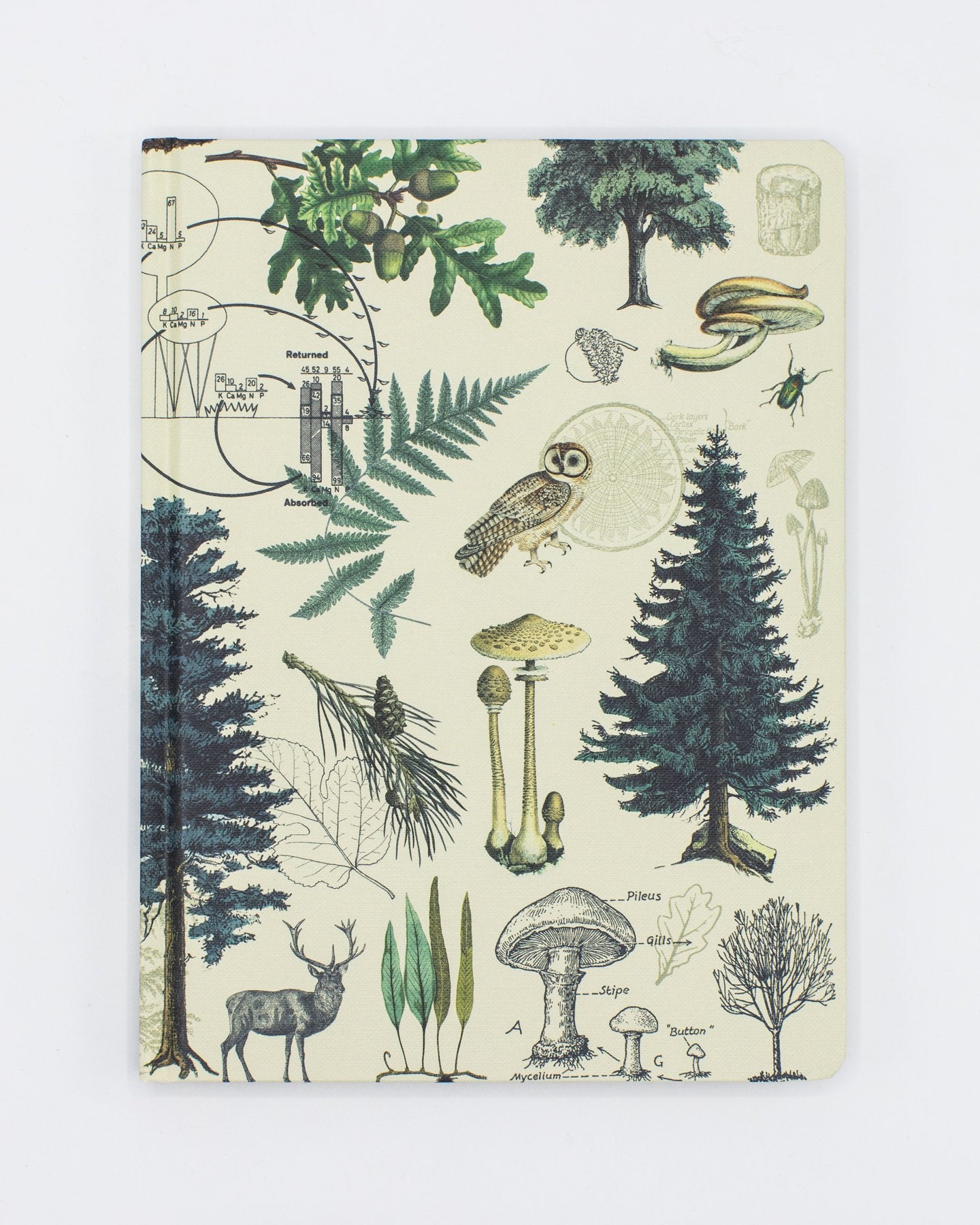 Woodland Forest Hardcover Notebook - Dot Grid