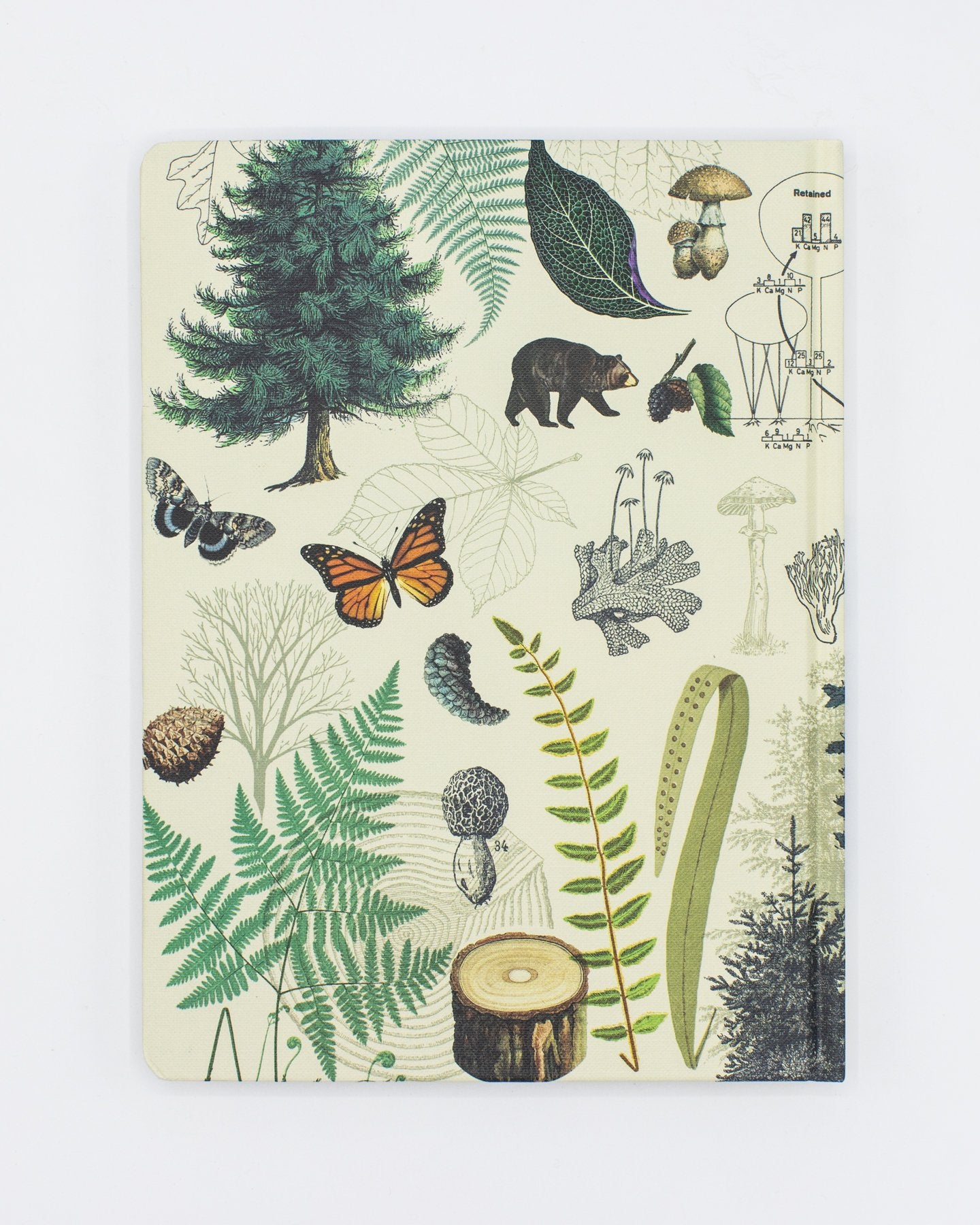 Woodland Forest Hardcover Notebook - Dot Grid