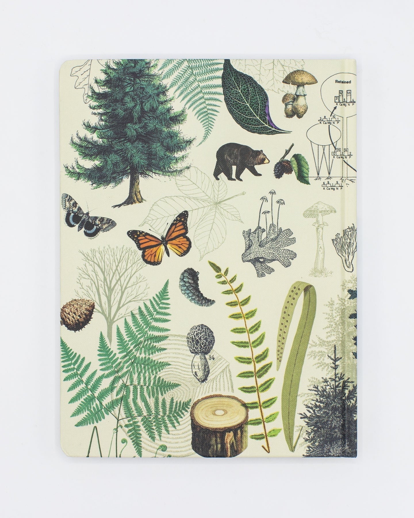 Woodland Forest Hardcover - Blank