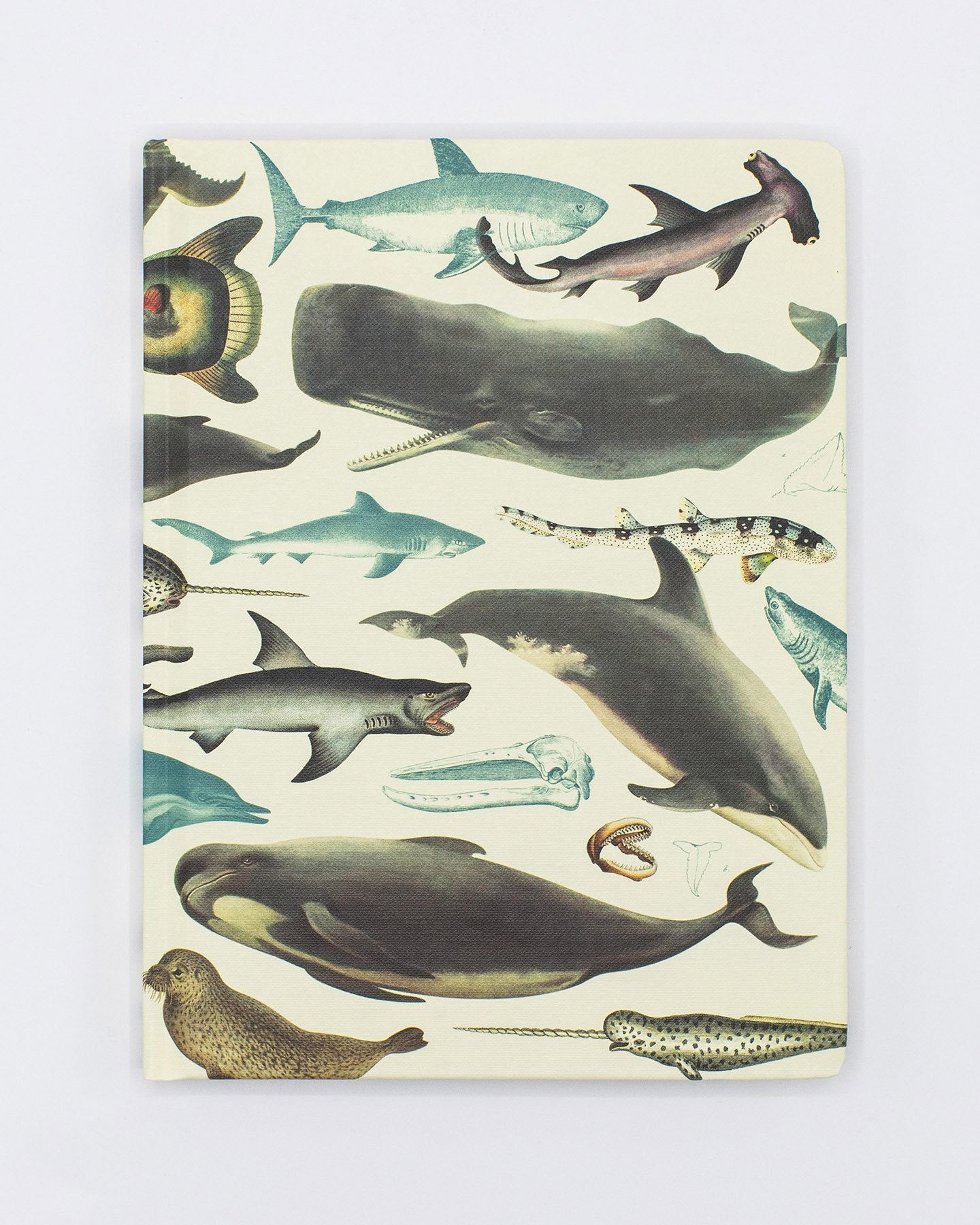 Whales & Seals Hardcover Notebook - Dot Grid