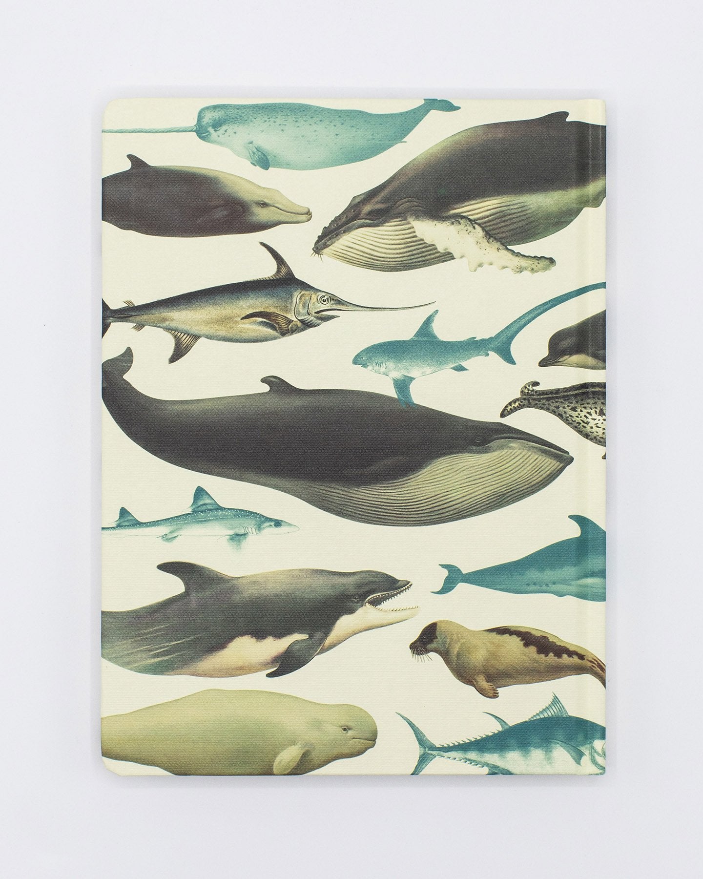 Whales & Seals Hardcover Notebook - Dot Grid