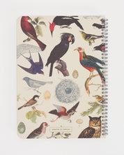 Feathered Friends: Birds Spiral Notebook