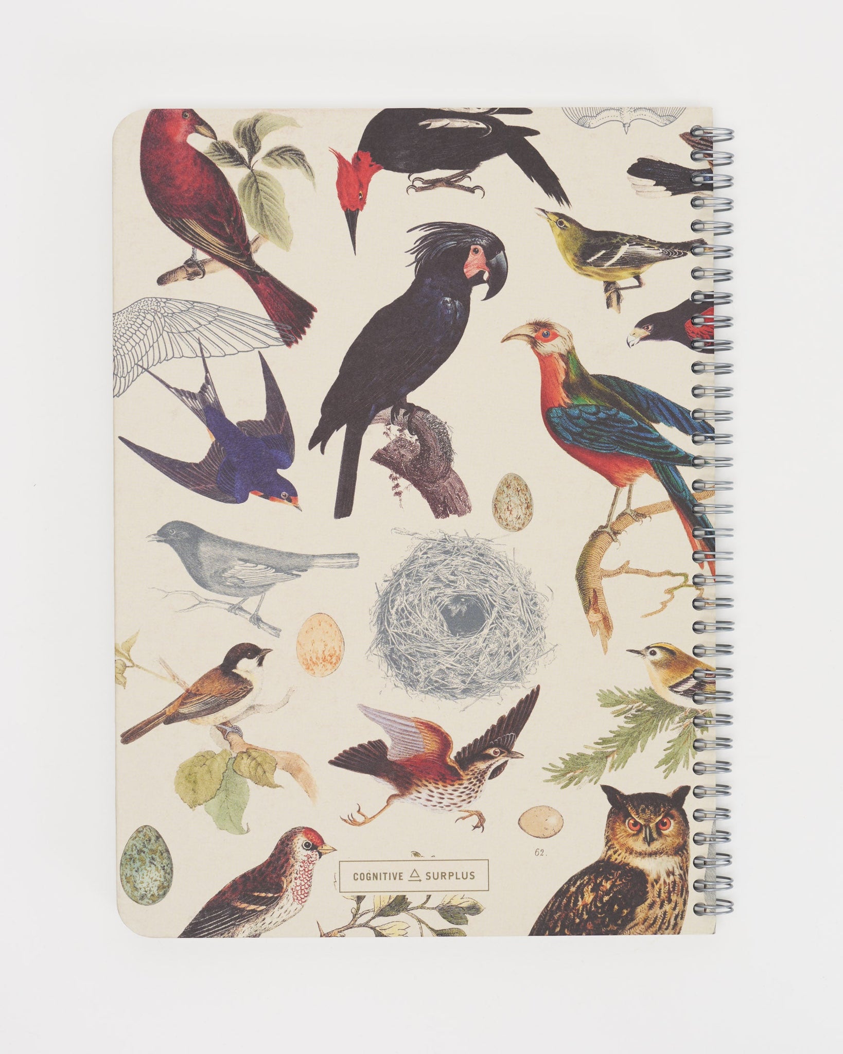 Bird Notebook Packs Ornithology: Birds Spiral Notebook | Cognitive Surplus – Cognitive ...