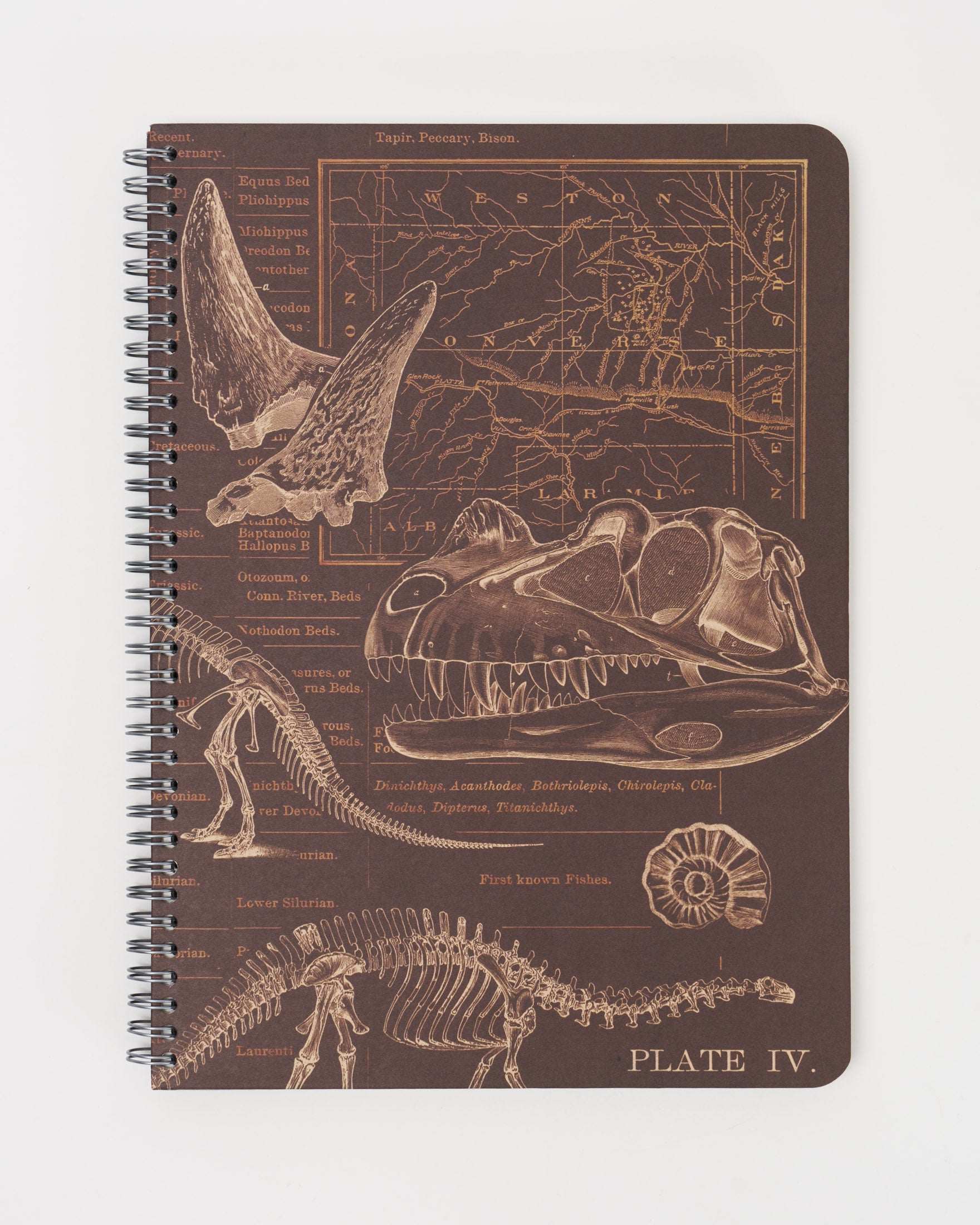 Dinosaur Bones Spiral Notebook