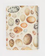 Bird Eggs Spiral Notebook