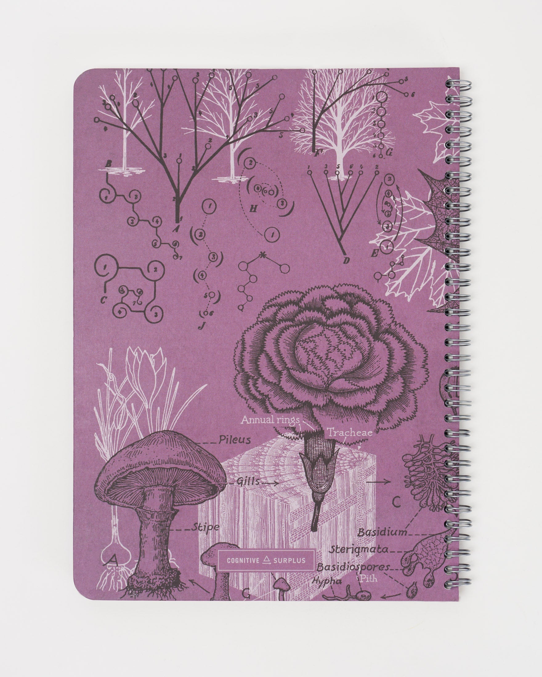 Forest at Dusk Spiral Notebook