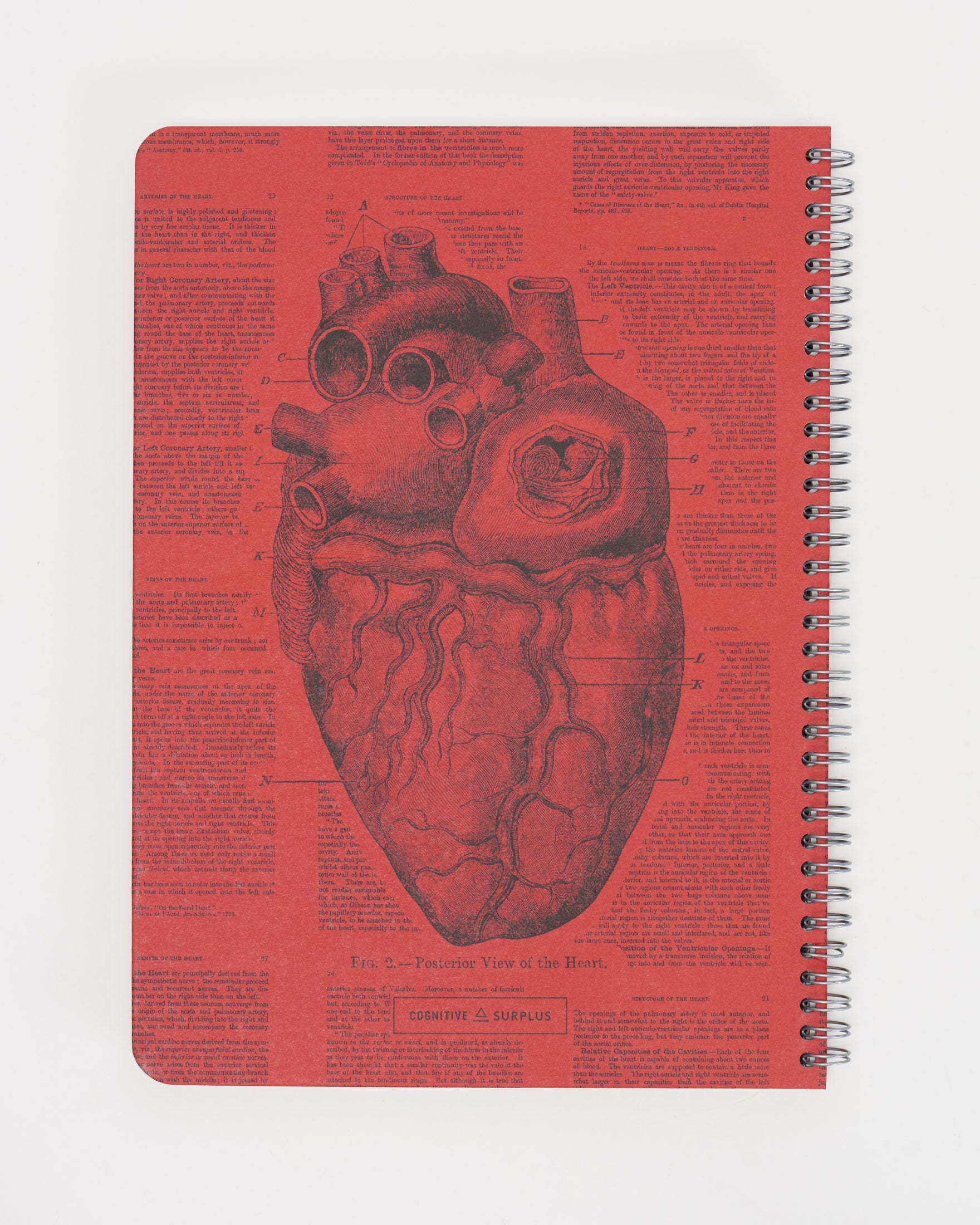 Anatomical Heart Spiral Notebook