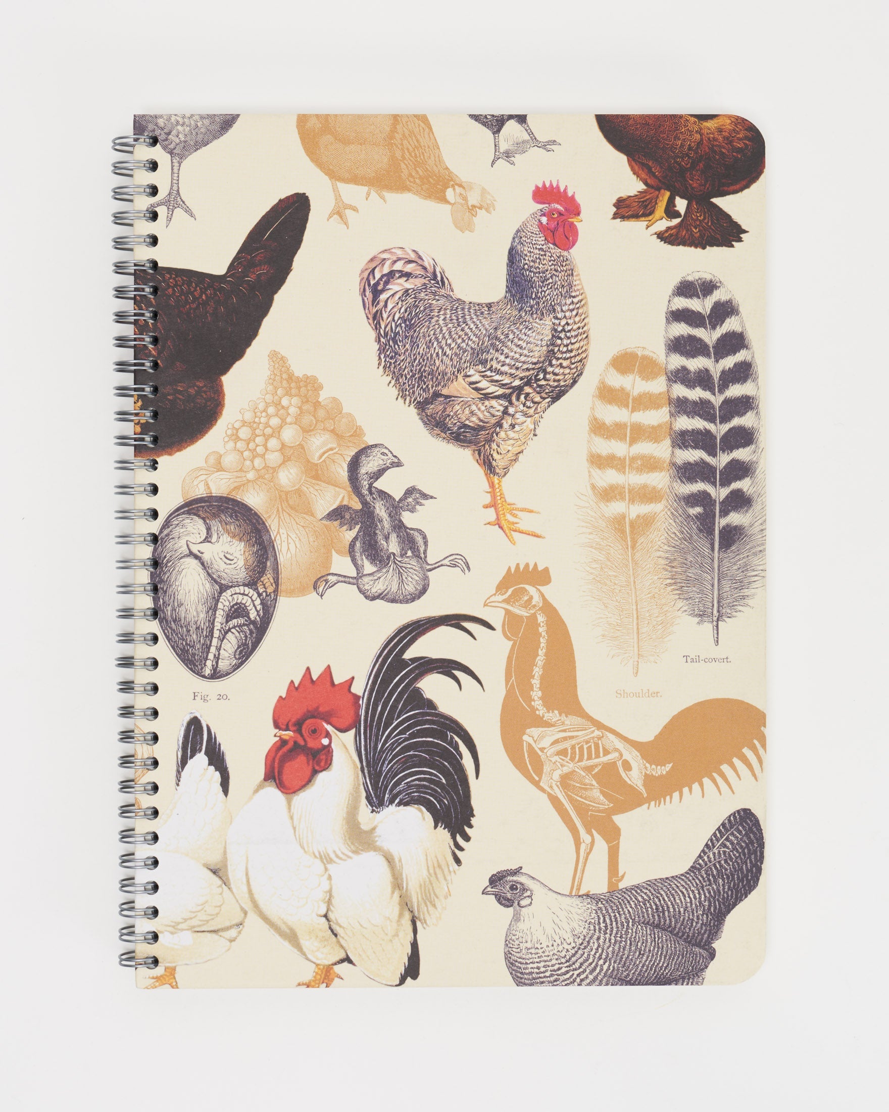 Backyard Birds: Chickens Spiral Notebook