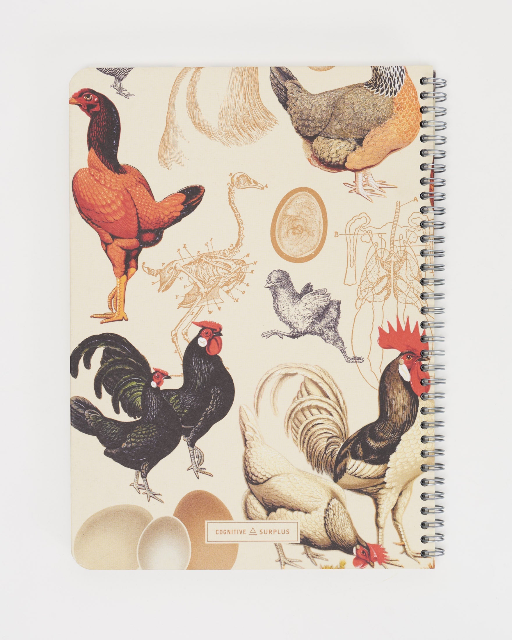 Backyard Birds: Chickens Spiral Notebook