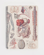 Human Anatomy Spiral Notebook