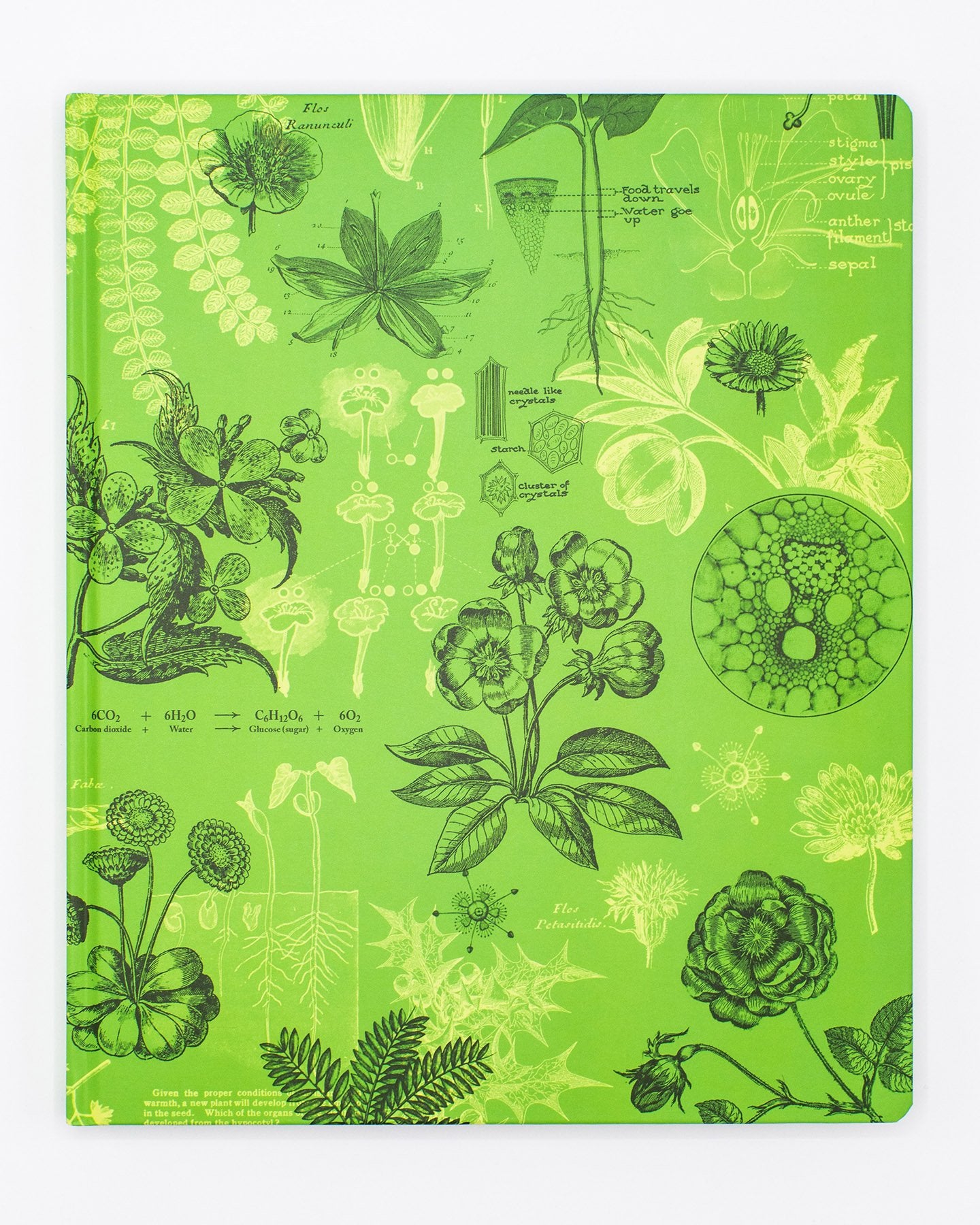 Cuaderno de laboratorio de botánica y ciencias de las plantas