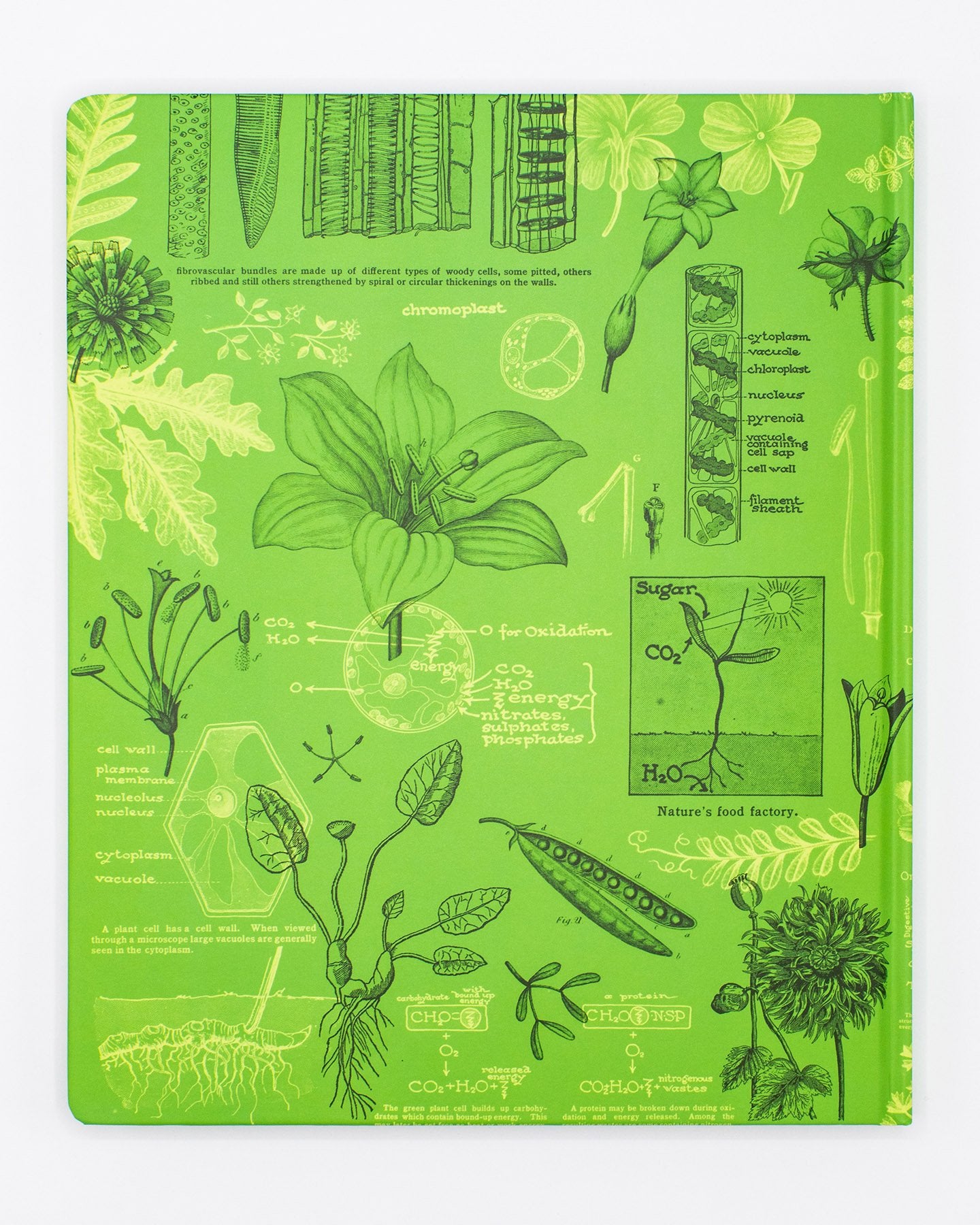 Cuaderno de laboratorio de botánica y ciencias de las plantas