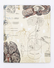 Cuaderno de laboratorio de cerebro y neurociencia