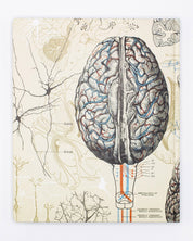Cahier de laboratoire sur le cerveau et les neurosciences