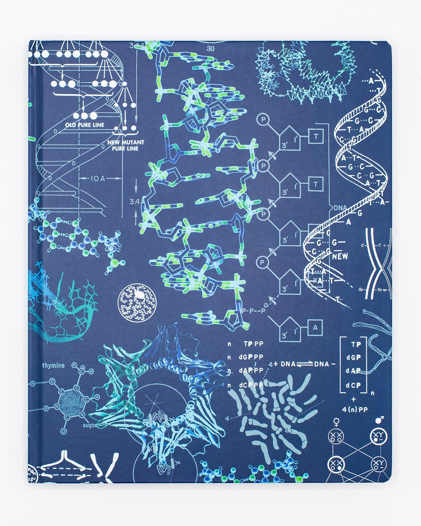 Genetics Lab Notebook