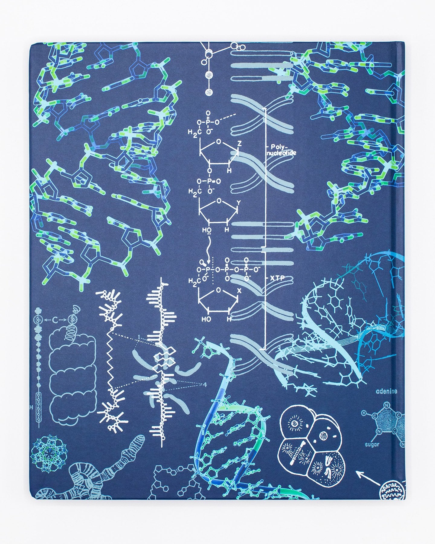 Genetics Lab Book Genetics Lab Notebook – Cognitive Surplus Global