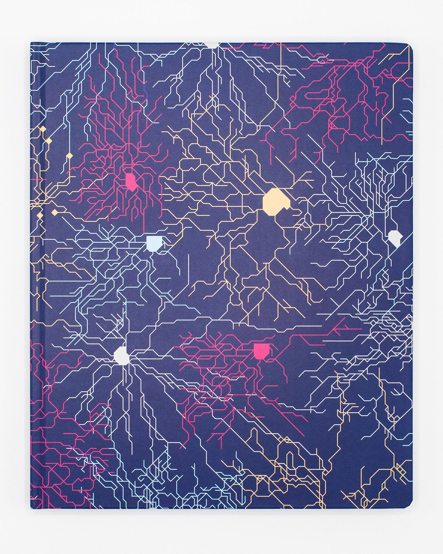 Cahier de laboratoire de circuits neuronaux