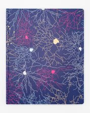 Cuaderno de laboratorio de circuitos neuronales