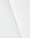 Birds Softcover - Lined - Cognitive Surplus