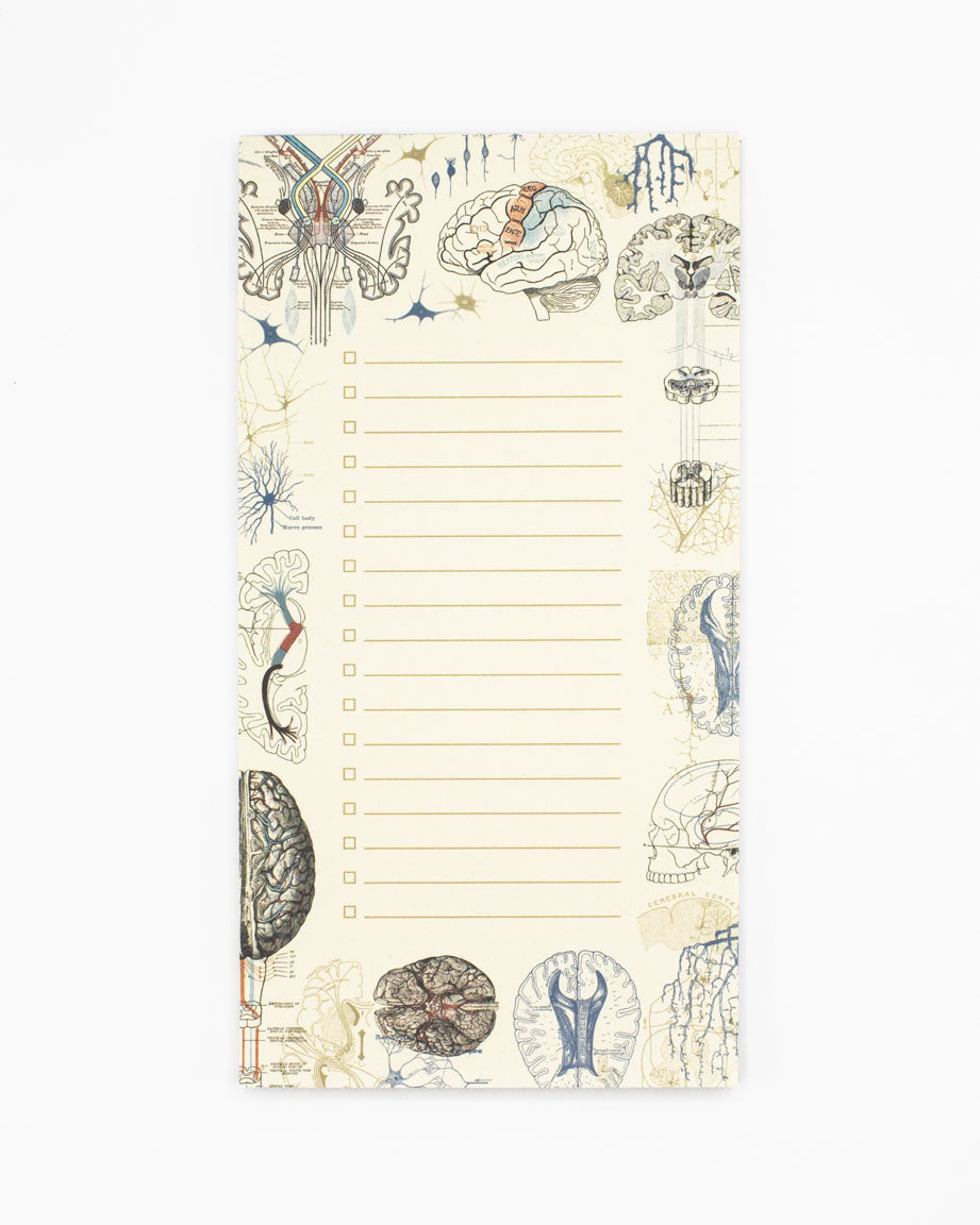 Brain Science Notepads