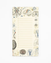 Brain Science Notepads