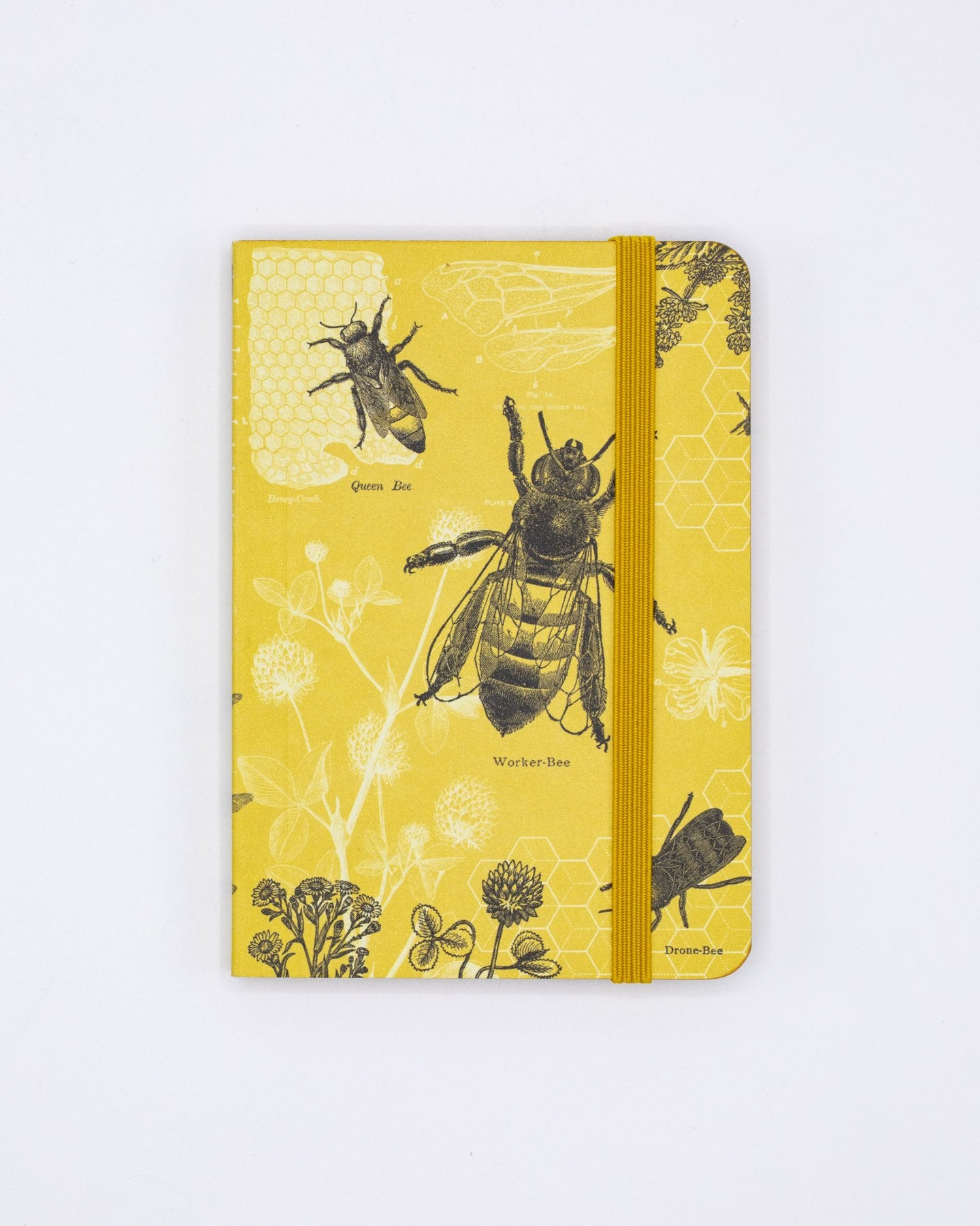 Couverture souple d'observation des abeilles