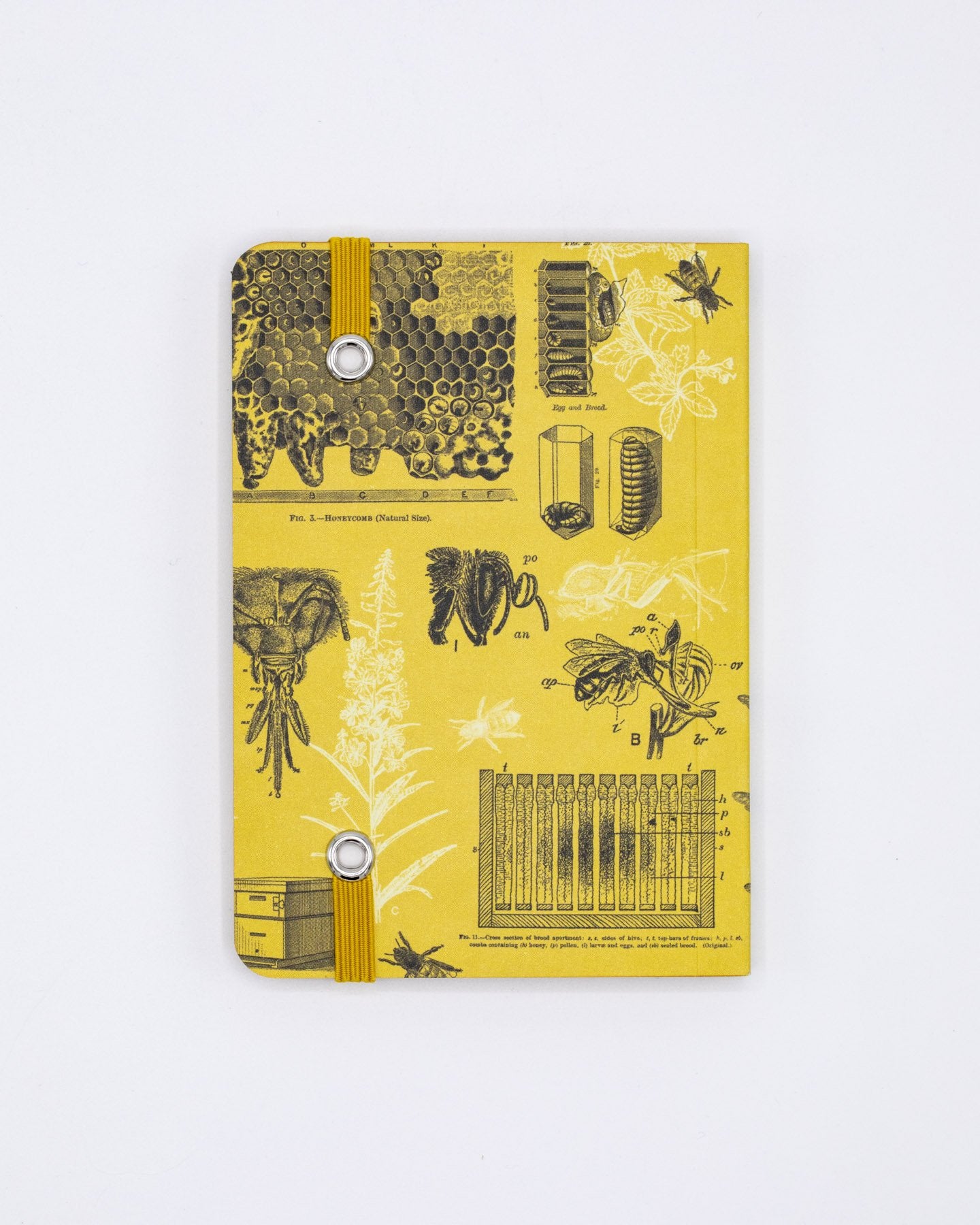 Honey Bee Observation Mini Softcover Notebook