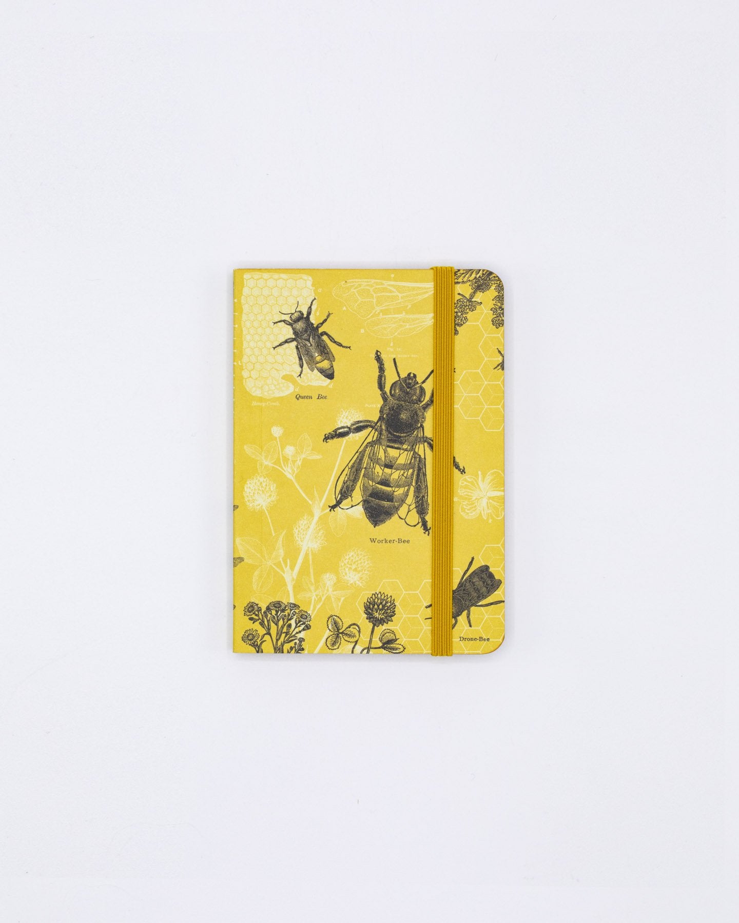 Honey Bee Observation Softcover